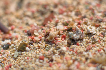So-called pink sand from Elafonisi beach on Crete, Greece. Closeup shot of pink sand  with some tiny shells..