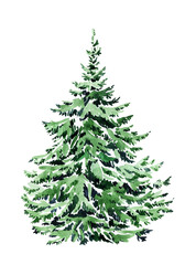 Watercolor Christmas fir tree, snowy evergreen spruce tree in winter illustration. Hand painted illustration isolated on white background. 