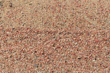 Pink sand on Elafonisi beach at Crete, Greece