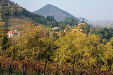 Colli Euganei, Padova. Panorama autunnale del Parco verso il Monte Venda.