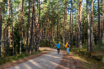 Two men walk down a wooded road in the fall.