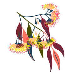 Modern isolated stylized design with abstract colorful eucalyptus flowers - obrazy, fototapety, plakaty