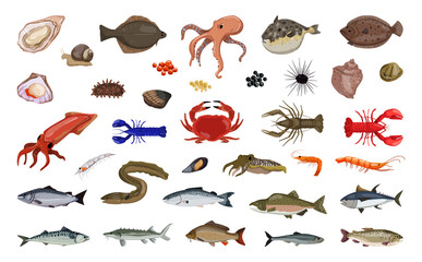 Vector collection of marine and freshwater fish and delicacies. Detailed illustrations. - obrazy, fototapety, plakaty
