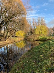 Autumn trees by the pond in the empty park