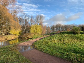 Autumn trees by the pond in the empty park