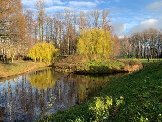 Autumn trees by the pond in the empty park