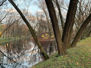 Autumn trees by the pond in the empty park