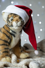 The symbol of 2022 on the Chinese calendar is Tiger. Toy soft plush tiger in a red Santa Claus hat on a glowing background from Christmas garlands.