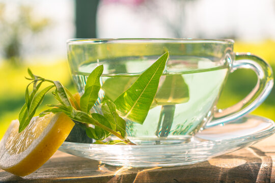 Clear cup of  a warm "cedron" and lemon tea on a rustic tabletop. Natural organic leafs infusion, aromatic herbs and medicinal beverages. Peacefull breakfast and morning concept. 