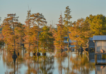 A Boat House among Bald Cypress Trees along the shoreline of Lake D''Arbonne. In Farmerville, Union...