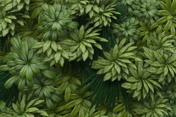 Vertical garden, wall decorate, green plants decoration, 3D rendering