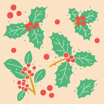 Vector illustration of Christmas holly