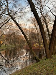 Autumn trees by the pond in the empty park