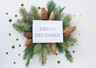 Hello December greeting card, fir tree branches, cones and festive decor on white background, flat...