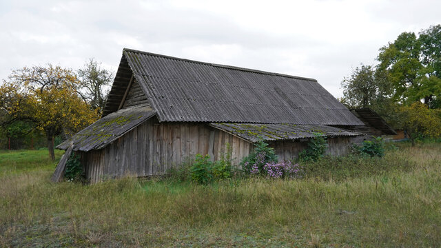 An autumn cloudy day. An old barn. Behind the barn you can see an abandoned house with boarded up windows.
