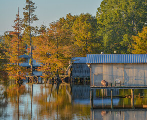 A Boat House among Bald Cypress Trees along the shoreline of Lake D''Arbonne. In Farmerville, Union...