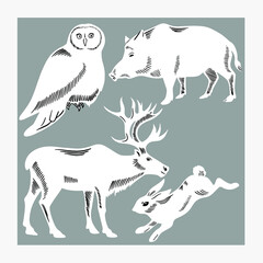 Forest animals drawn on a gray background. Owl, hare, deer and boar. Suitable for postcards, packaging or textiles.