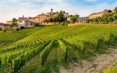 Fototapeta na wymiar The beautiful village of Neive and its vineyards in the Langhe region of Piedmont, Italy.