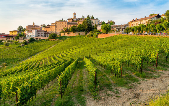 The beautiful village of Neive and its vineyards in the Langhe region of Piedmont, Italy.