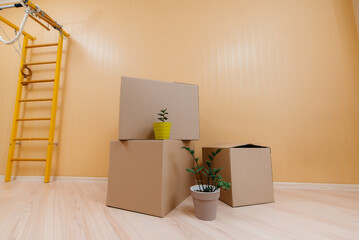 Many large cardboard boxes stand together with indoor flowers in an empty room after moving in and housewarming. Delivery and cargo transportation.
