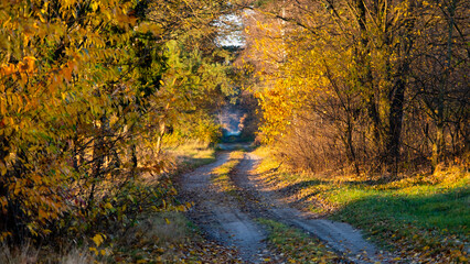 Polna, wiejska droga jesienią