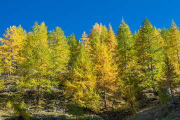 Escursionismo autunnale ai piedi di Rocca la Meja (Provincia di Cuneo - Valle Maira)