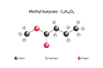 Molecular formula of methyl butyrate. Methyl butyrate, also known under the systematic name of methyl butanoate, is the methyl ester of butyric acid.