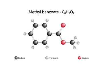 Molecular formula of methyl benzoate. Methyl benzoate has a pleasant odor strongly reminiscent of the fruit of the feijoa tree and is used in perfumery. - obrazy, fototapety, plakaty