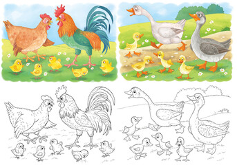 At the farm. Set of cute farm animals. Coloring book. Coloring page. Illustration for children. Cute and funny cartoon characters