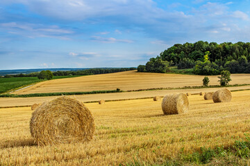 Packed pile of hay