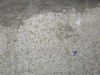 Stone background, embossed gray cement wall