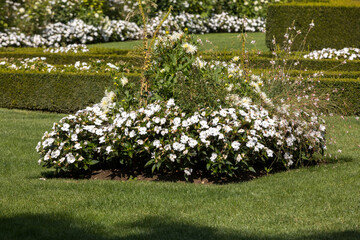 White garden in the picturesque Jardins du Manoir d Eyrignac in Dordogne. France