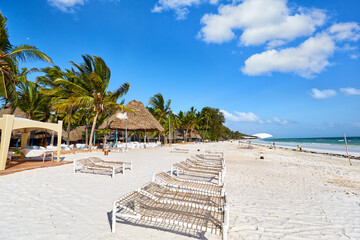 Tropical sand beach with sunbeds in Zanzibar - 467763796