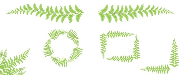 Decorative fern borders, frames and ornaments. Botanical clip art design. Vector natural elements isolated on white background. © Karolna