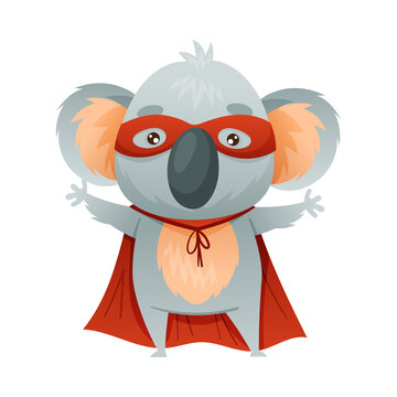 Grey Koala Character Superhero Dressed in Mask and Red Cape or Cloak Vector Illustration