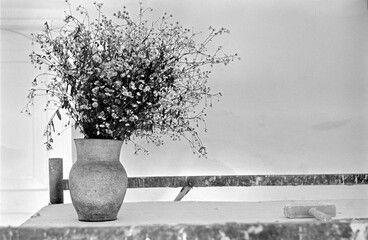 Camomile boquet