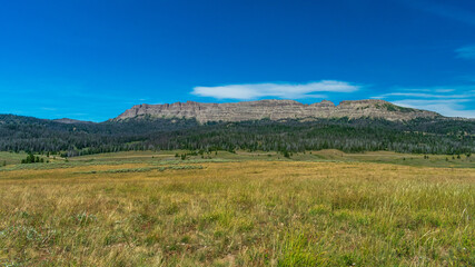 Fototapeta na wymiar Bridger-Teton National Forest, Wyoming