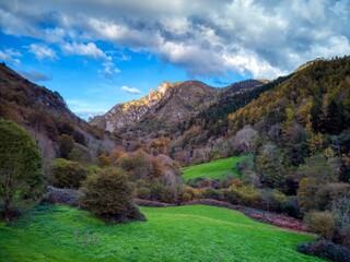Fototapeta na wymiar Forest views in autumn in Parres, Asturias. Cea forest.