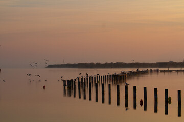 Obraz premium Neusiedlersee