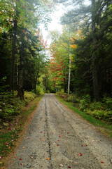 Fototapeta na wymiar Autumn foliage in Northern New England