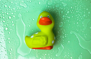 Bright green toy rubber duck for bathing and showering on lettuce background with water droplets top view. Cute funny duckling toy flatly. A bath accessory for kids, children. Washroom decor element.