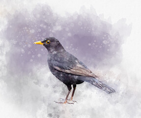 Portrait of a blackbird, watercolor painting