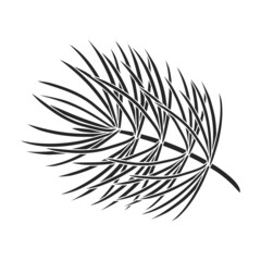 Twig pine isolated black icon. Vector illustration spruce twig pine on white background. Vector black illustration icon tree conifer.