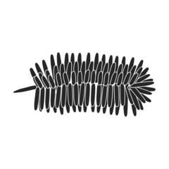 Twig pine isolated black icon. Vector illustration spruce twig pine on white background. Vector black illustration icon tree conifer.