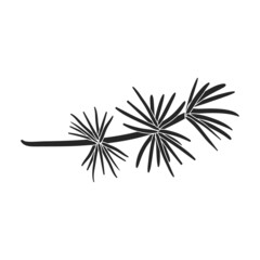 Twig pine isolated black icon. Vector illustration spruce twig pine on white background. Vector black illustration icon tree conifer.