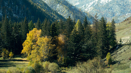 View of the forest and mountains in Altai Republic. Russia.