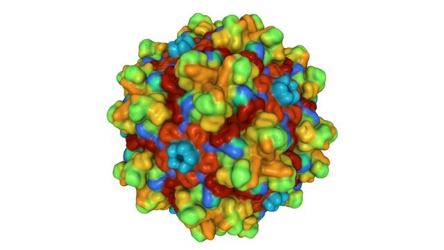 The empty AAV12 capsid. Animated 3D Gaussian surface model, sequence id color scheme, PDB 7l6b, white background