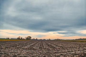 Freshly ploughed field of heavy clay under a grey sky, just before sunset. Trees and farms in the background.

