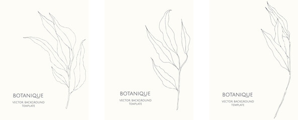 Set of vector abstract backgrounds templates in minimal style with leaves. Hand drawn branches.