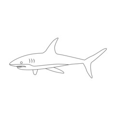 Shark outline vector icon.Outline vector illustration fish of sea. Isolated illustration of shark icon on white background.